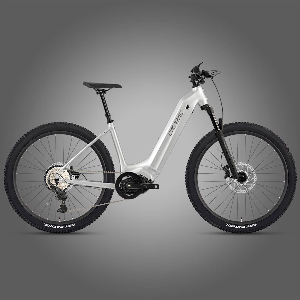 EC2 Electric Mountain Bike — 960Wh, 180km Range | Twitter Bikes SENTYEH ES800