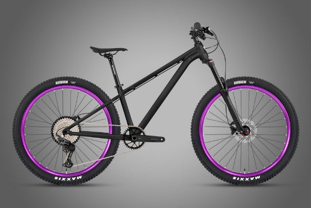GTR Dirt Jump — Twitter Alloy Mountain Bike SHIMANO DEORE M6100 12 Speed / Matte Silver · Purple Rim