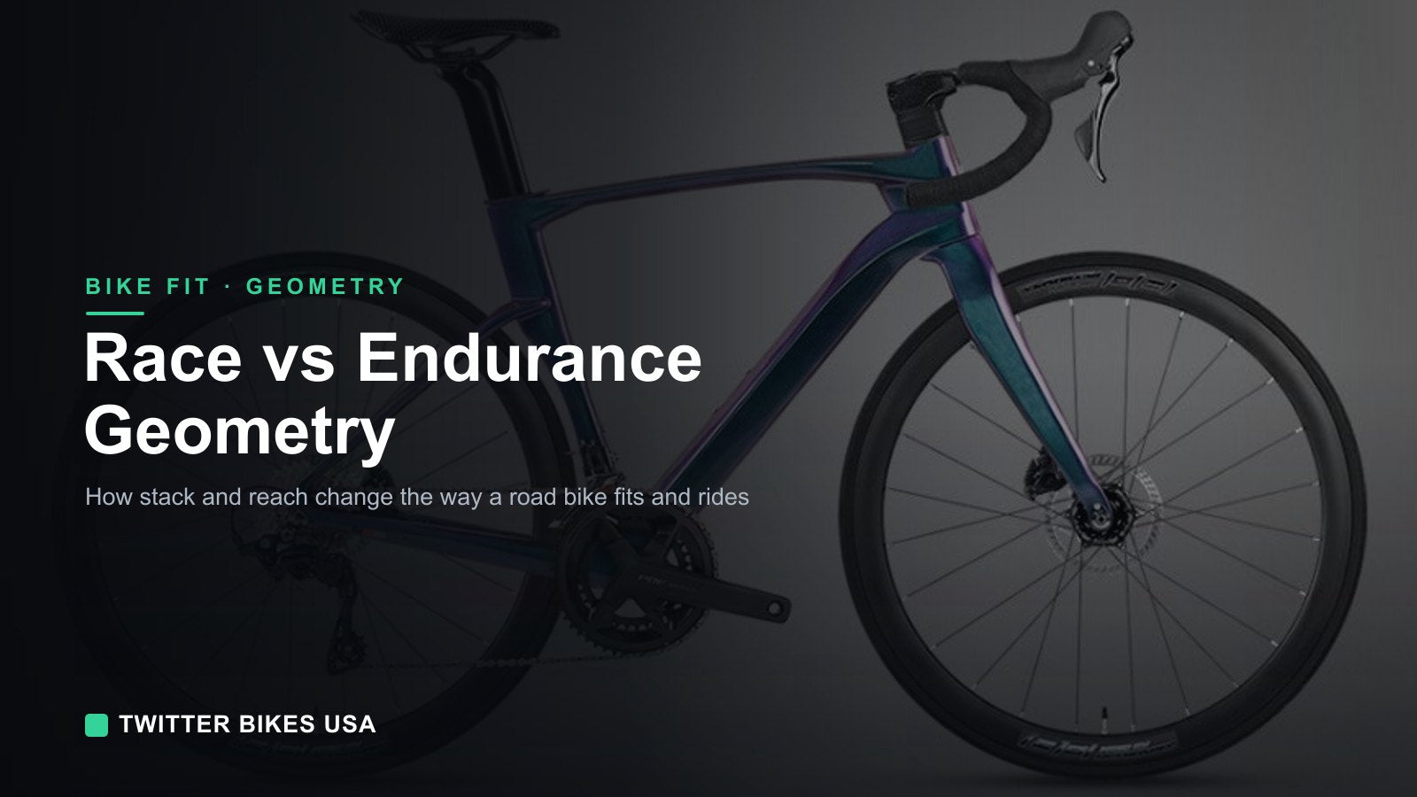 Race vs Endurance Bikes: How Geometry Differs