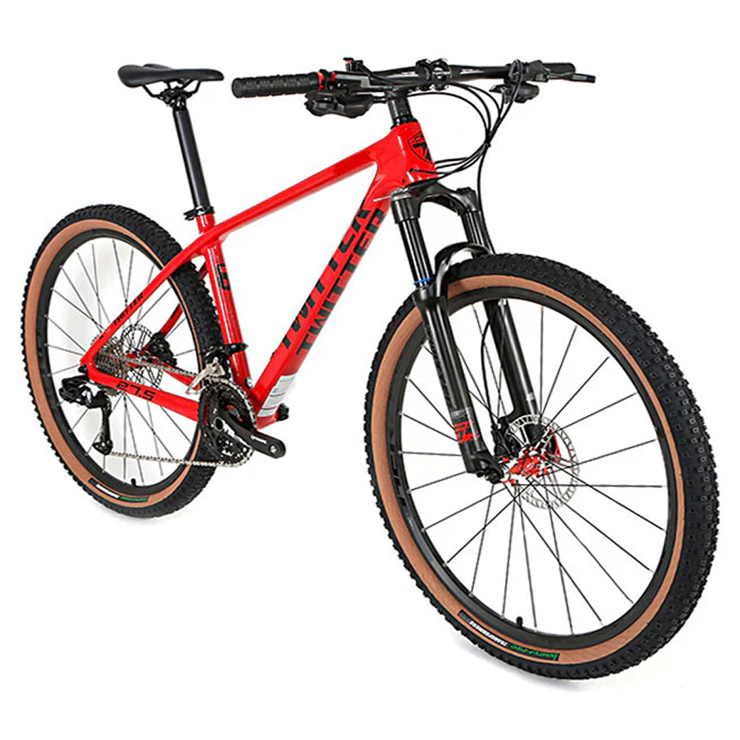 TWITTER WERNER Titanium Alloy MTB Frame – 29