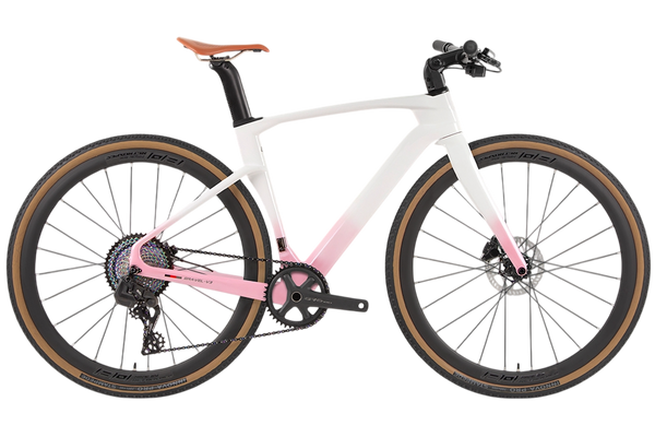 GRAVEL V3  PB (Hybrid) - Carbon Fiber Gravel Bike