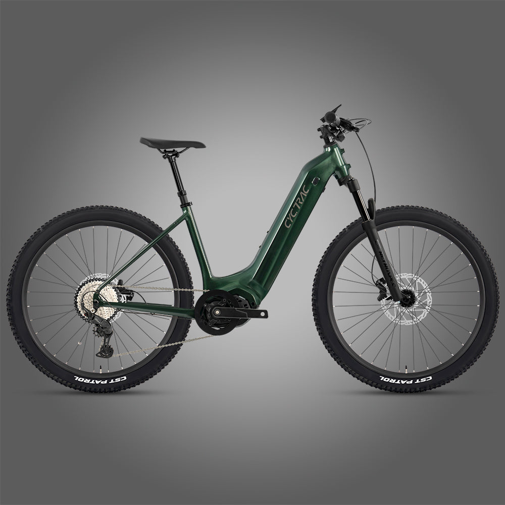 EC2 Twitter electric mountain bike in Dark Green
