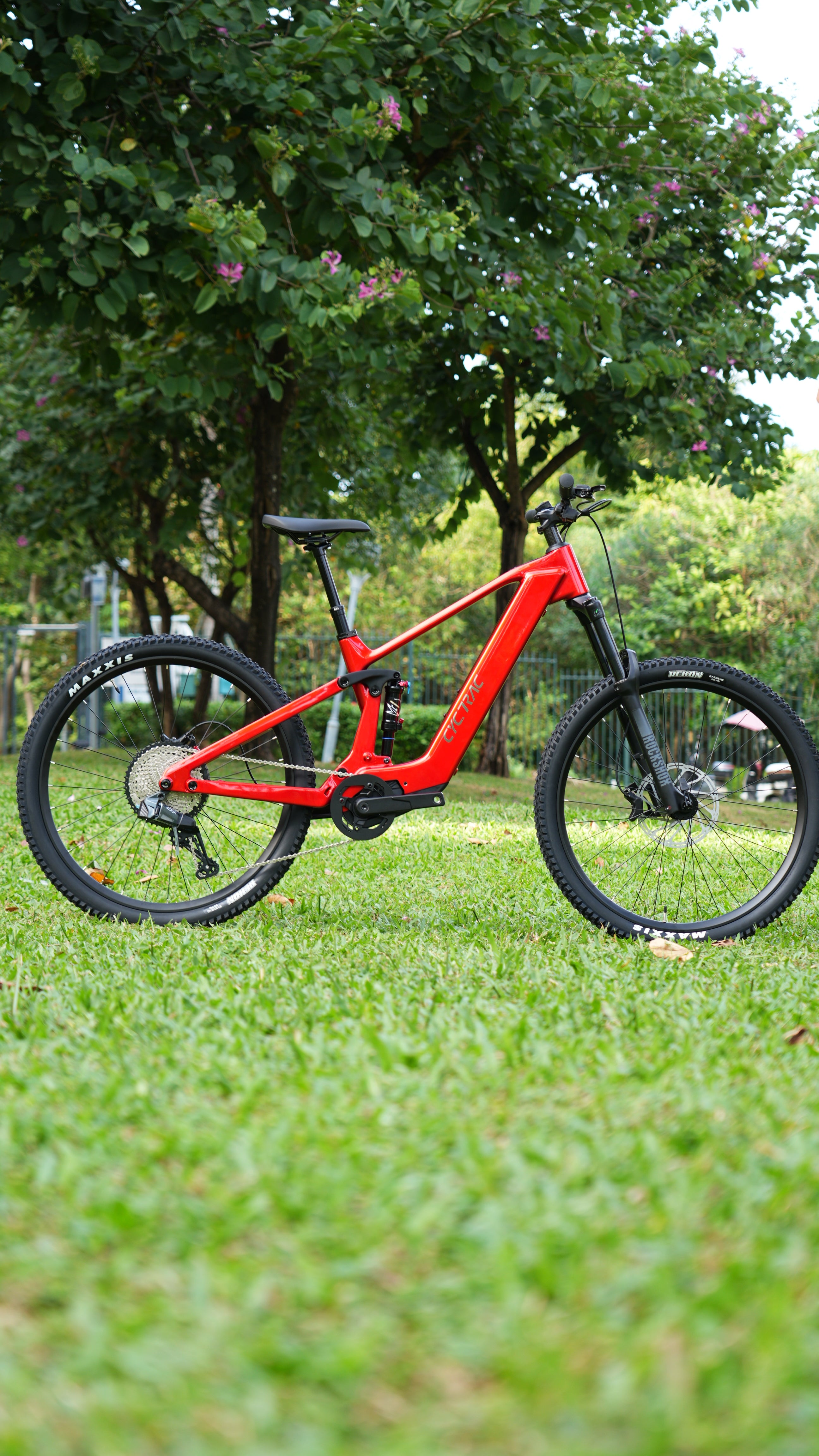 EM19 - Cyctrac Electric Mountain Bikes – Twitter Bikes