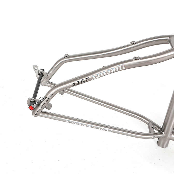 TWITTER WERNER Titanium Alloy MTB Frame – 29