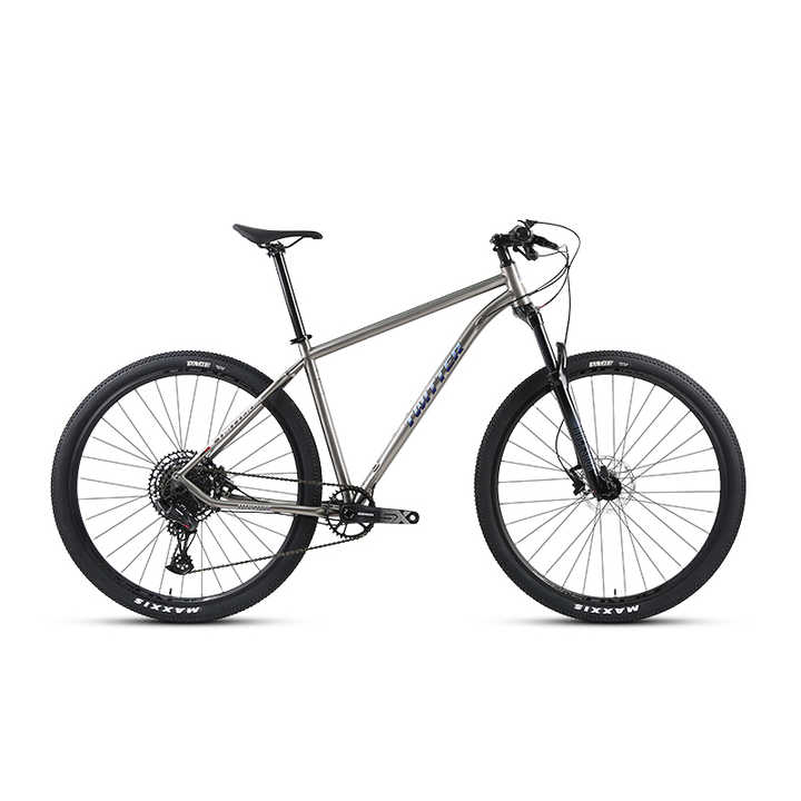 Werner (Boost) - Twitter Titanium Mountain Bike