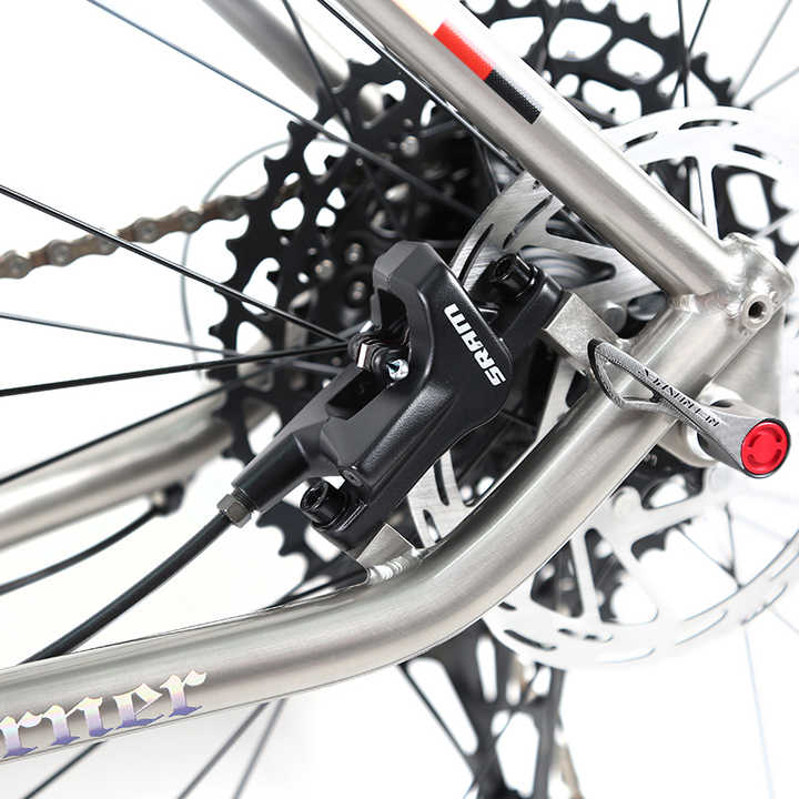 Werner (Boost) - Twitter Titanium Mountain Bike