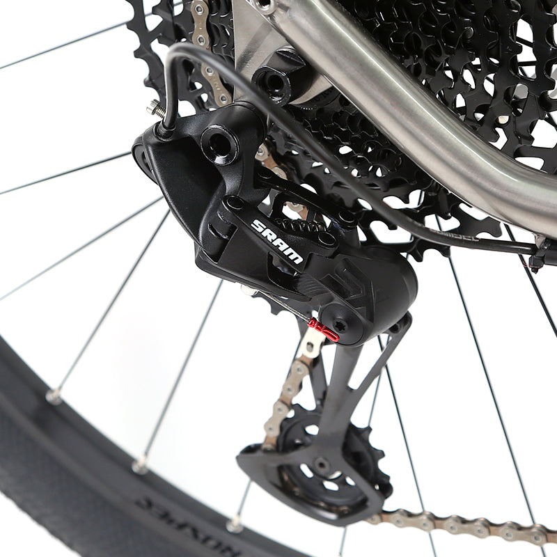 Werner (Boost) - Twitter Titanium Mountain Bike