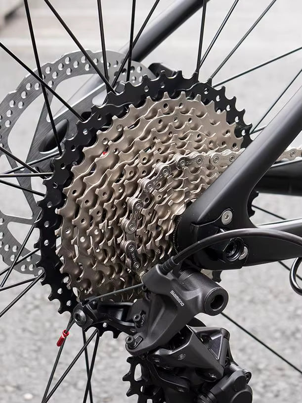 Rider (QR) - Twitter AL7005 Mountain Bike