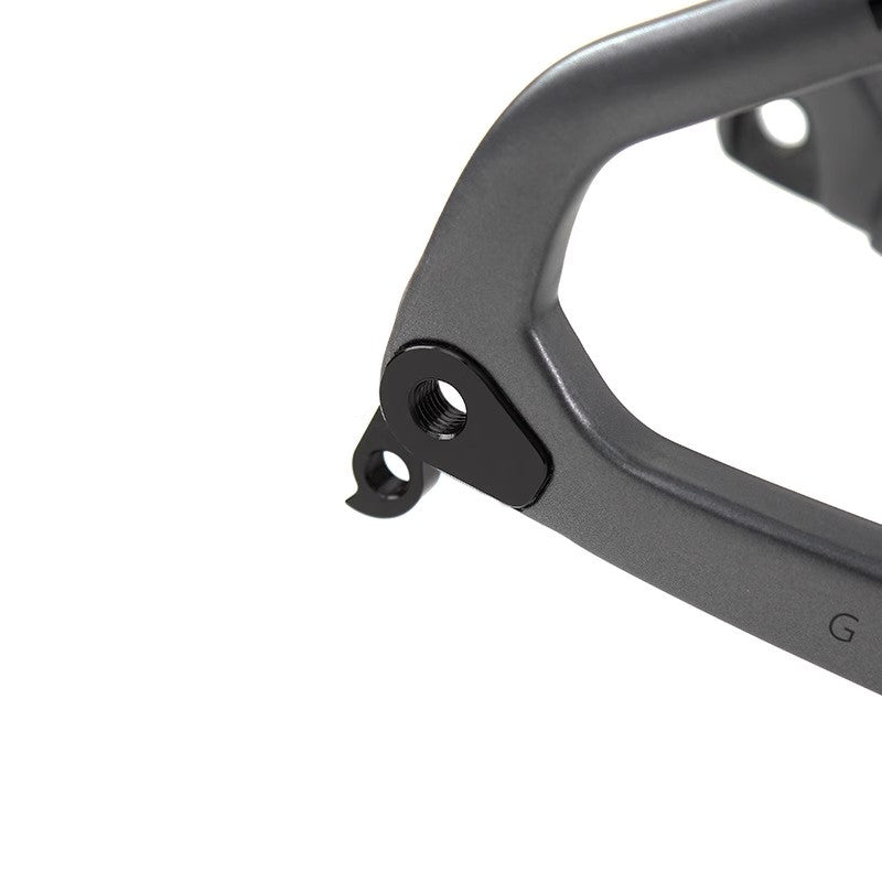 TWITTER GRAVEL V1 Disc Carbon Road Frame Set – T800, 700C, Holographic