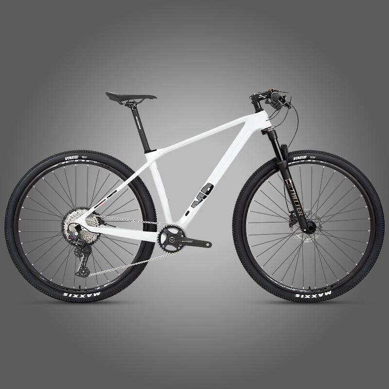 M5 (Boost) - Twitter Carbon Road Bike